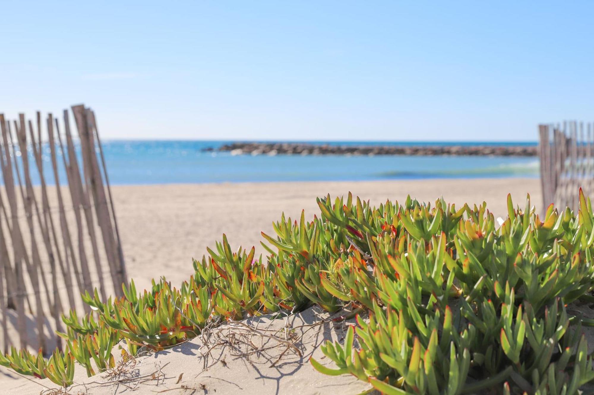 T2 Boheme Centre Ville Palavas Proche Plage Екстер'єр фото